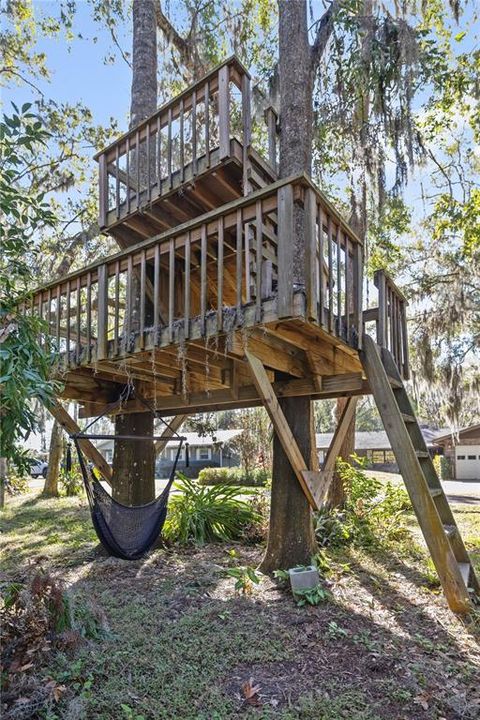 Treehouse