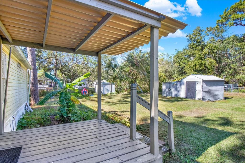 Back Patio