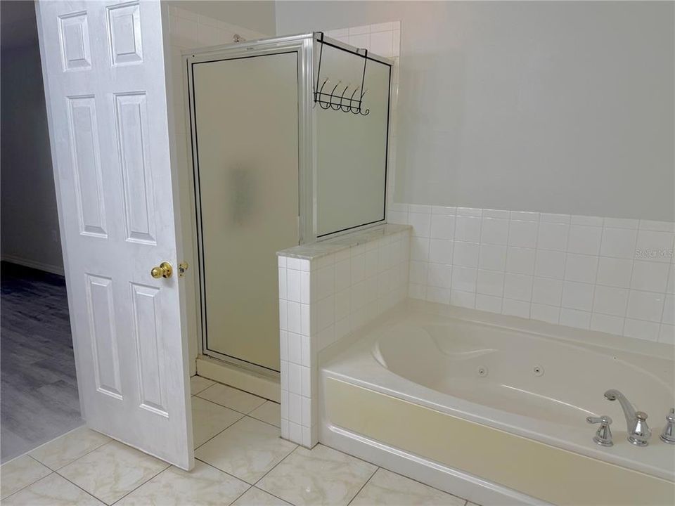 Master Bathroom with Garden Bath and Shower Stall