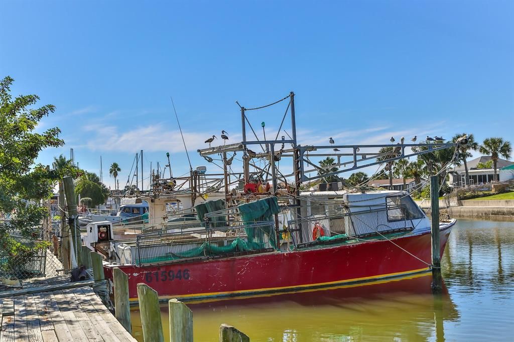 Hernando Beach is a Fishing & Shrimp Boat Community