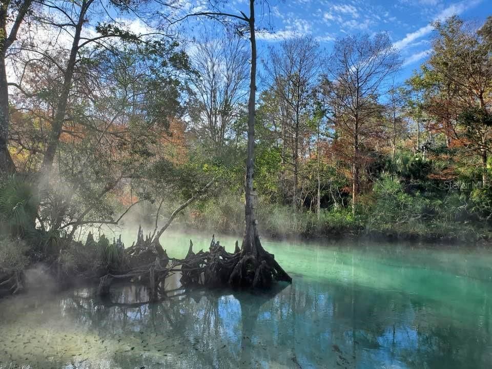 Crystal Clear Waters of Weeki Wachee River just North of us