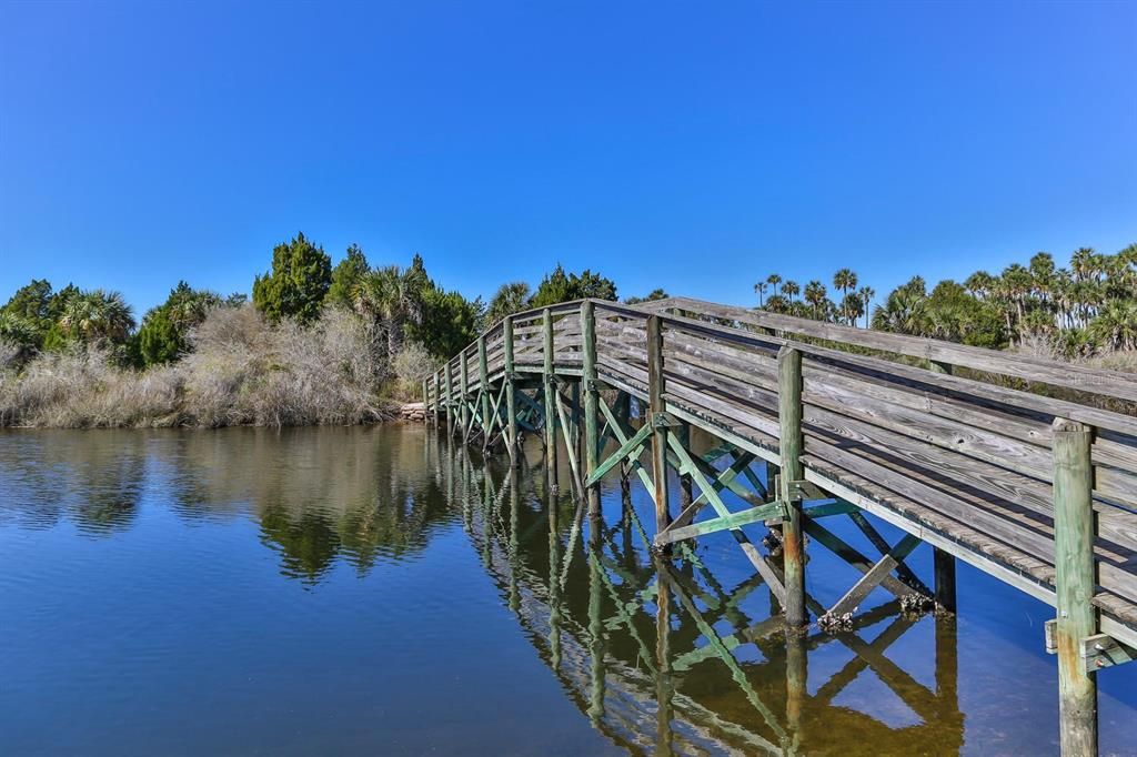 Jenkins Creek Just North