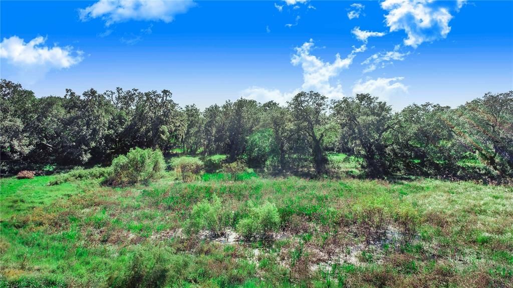 For Sale: $275,000 (6.13 acres)