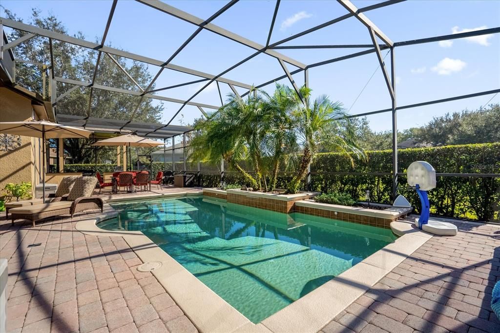 Gorgeous solar heated saltwater pool with views of the pond. It's so tranquil and cozy.