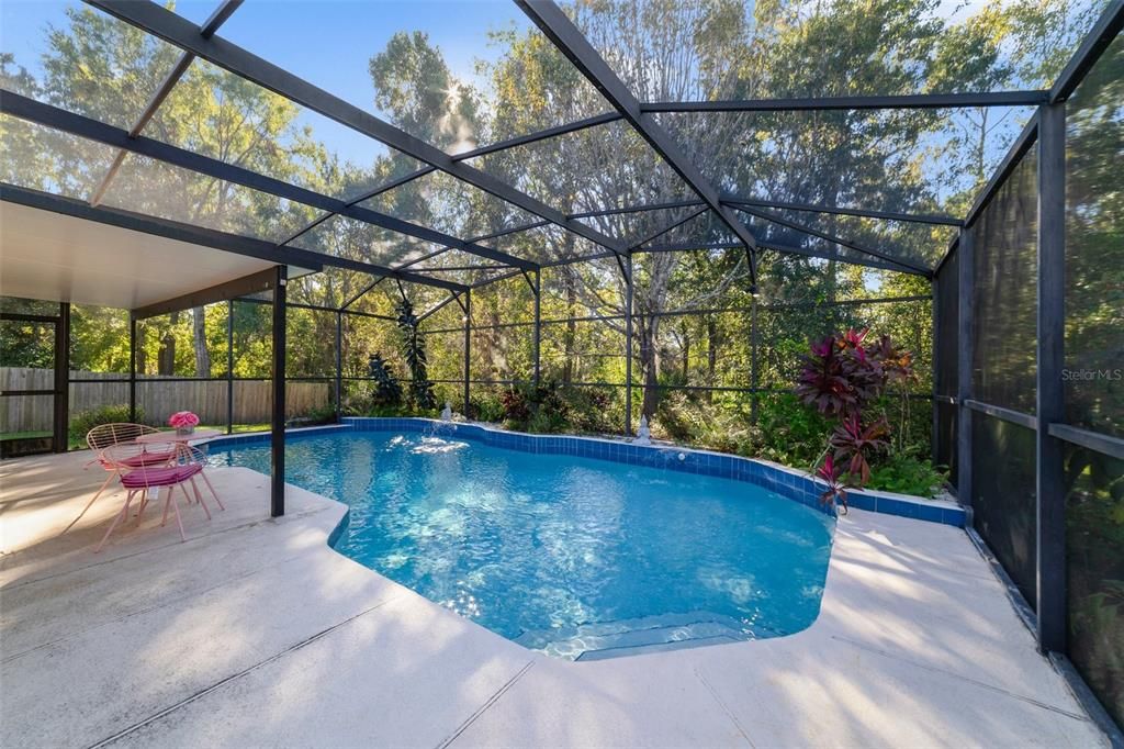 Relax poolside under the covered portion of the patio and enjoy the WOODED VIEW while hosting family and friends, the patio and pool are screened for maximum comfort!