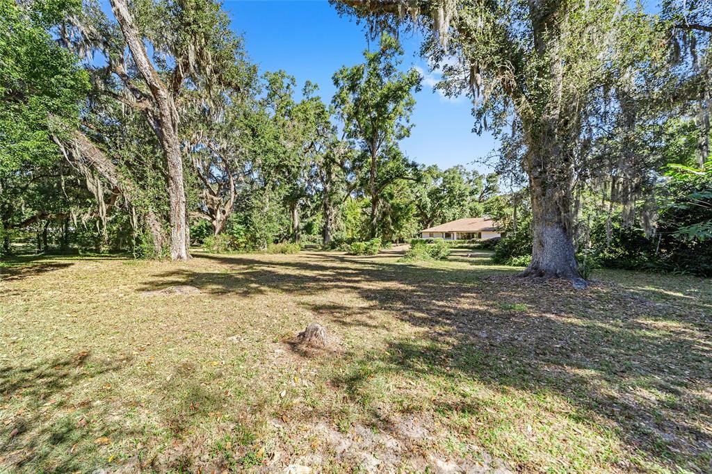 Expansive Backyard