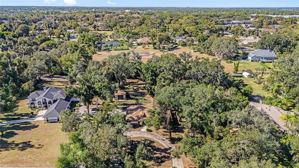 Country setting in the HEART OF OCALA.