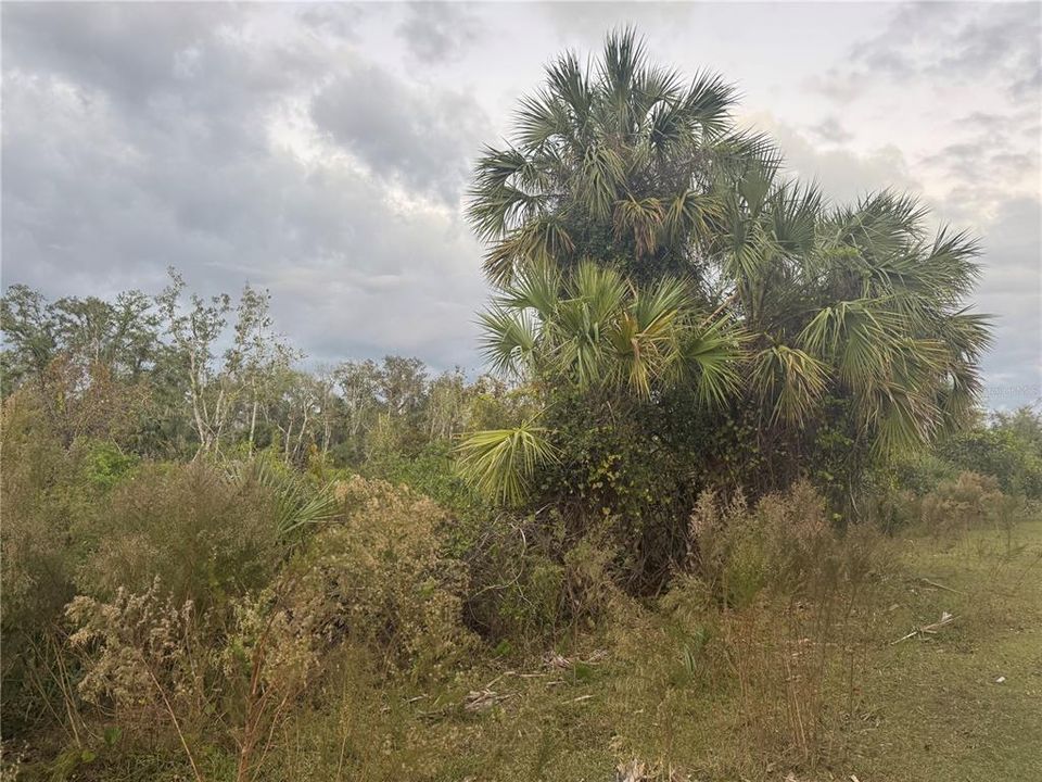 Recently Sold: $10,000 (1.03 acres)