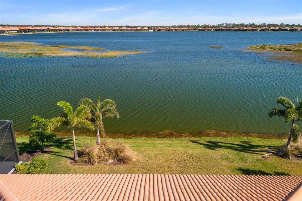 Pond View