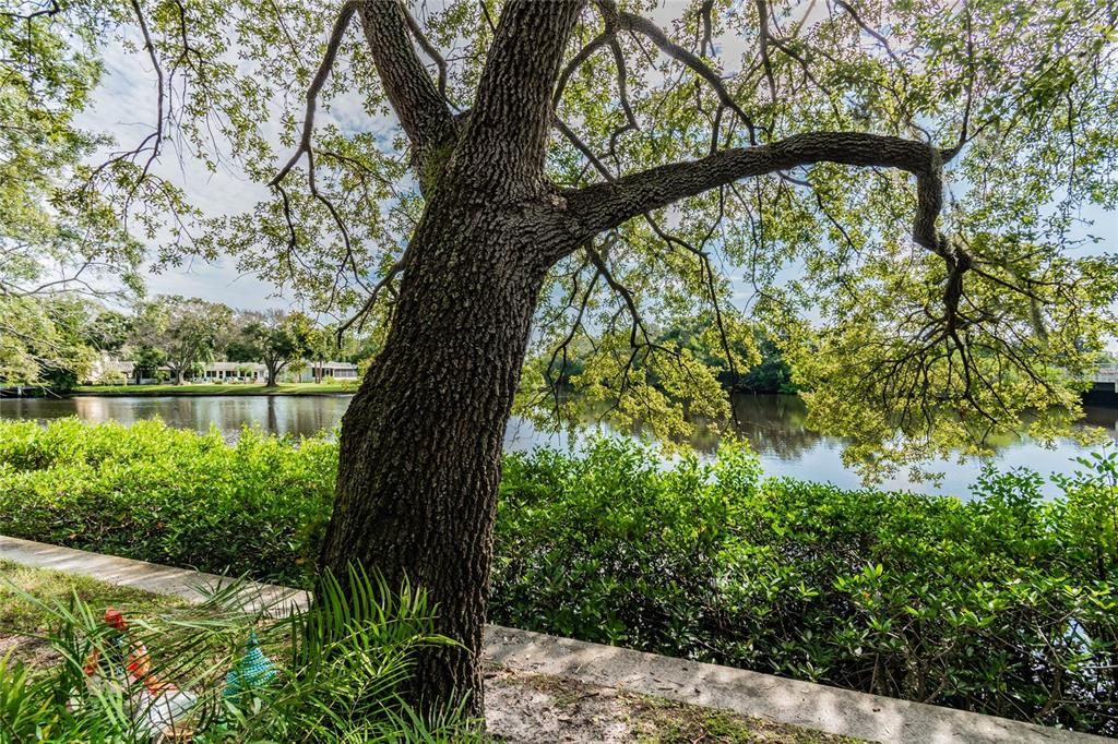 合同活跃: $1,325 (1 贝兹, 1 浴室, 760 平方英尺)