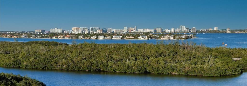 Kayak Mangrove Park, City views from 904.