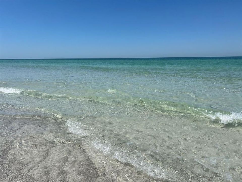 ENJOY long daily beach walks