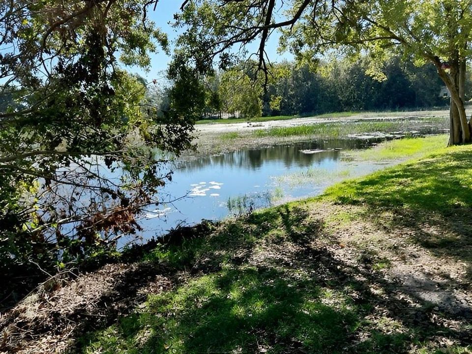 LAKE FRONT VIEW