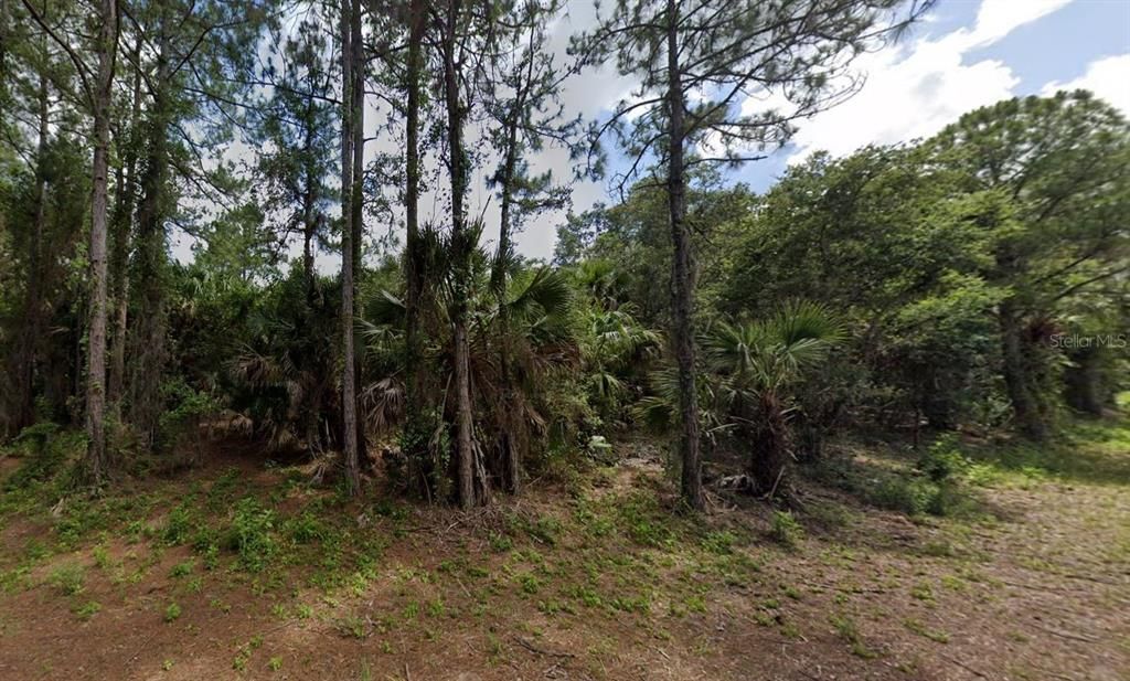 En Venta: $25,000 (0.26 acres)