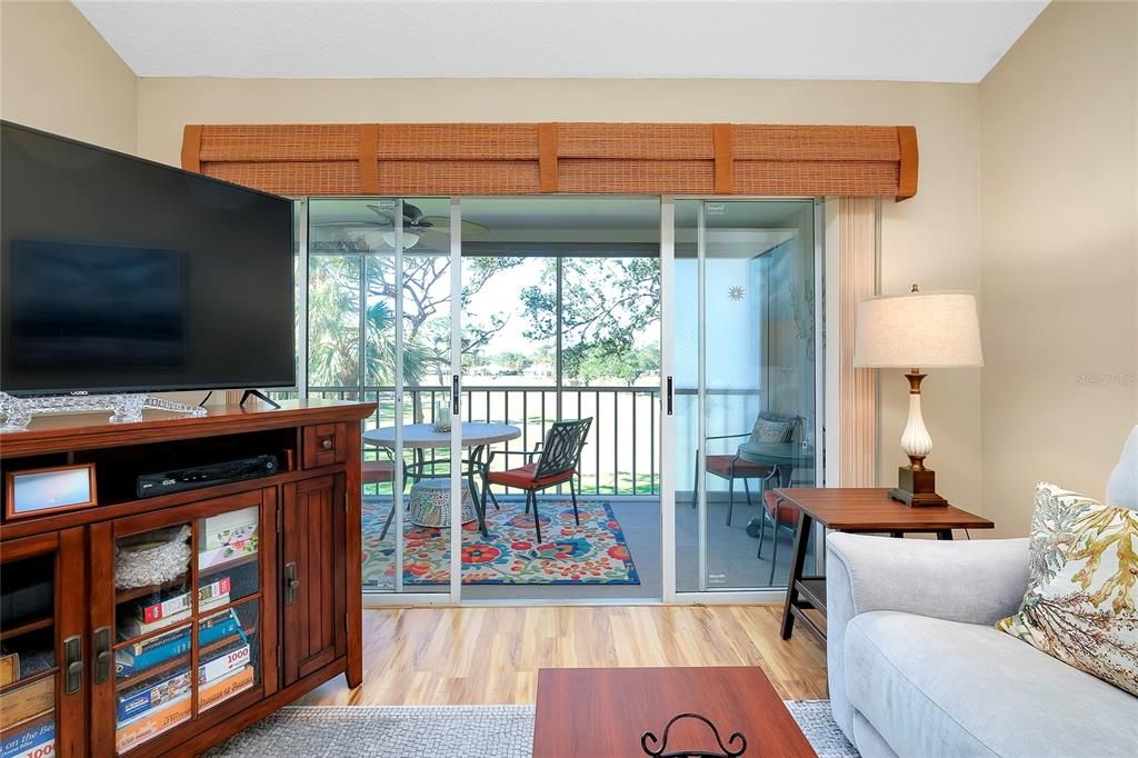 Living room with close up view of lanai access and view beyond.