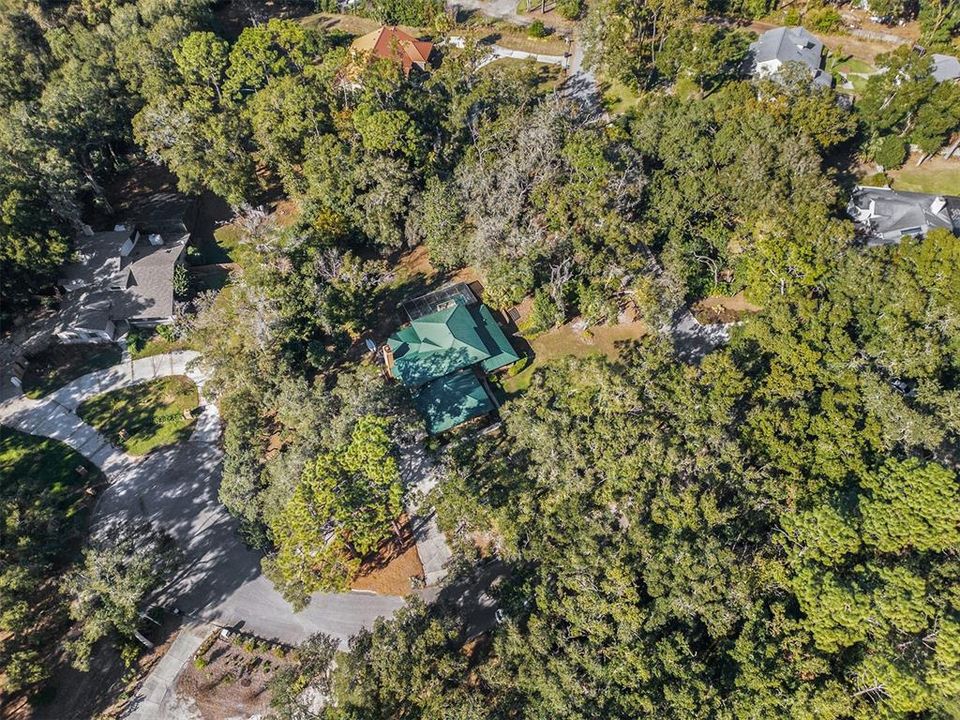 This aerial view showcases the home's private and secluded location within the community.