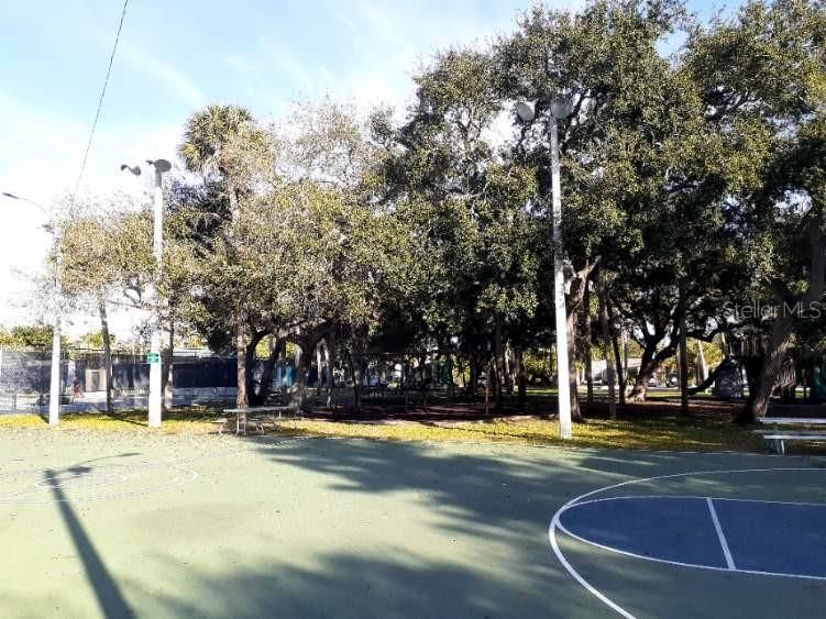 Basketball court