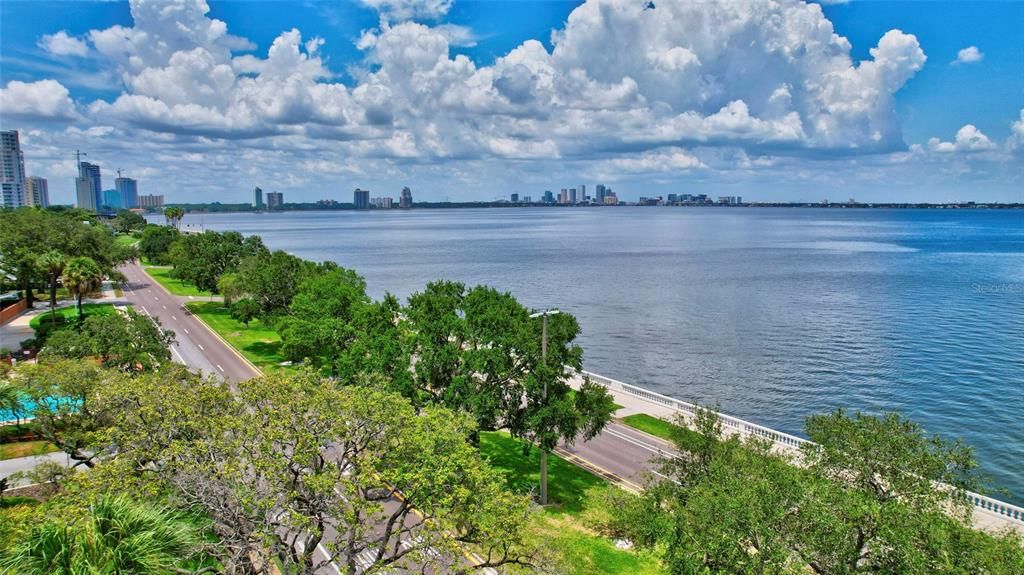 Bayshore Blvd - Downtown Tampa