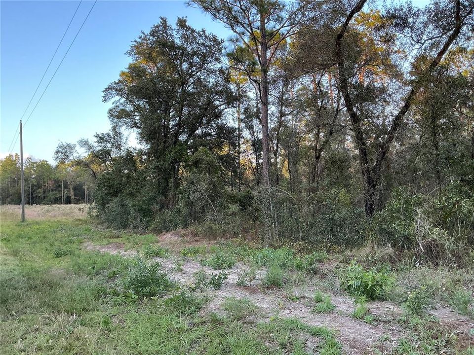 Active With Contract: $24,000 (1.00 acres)