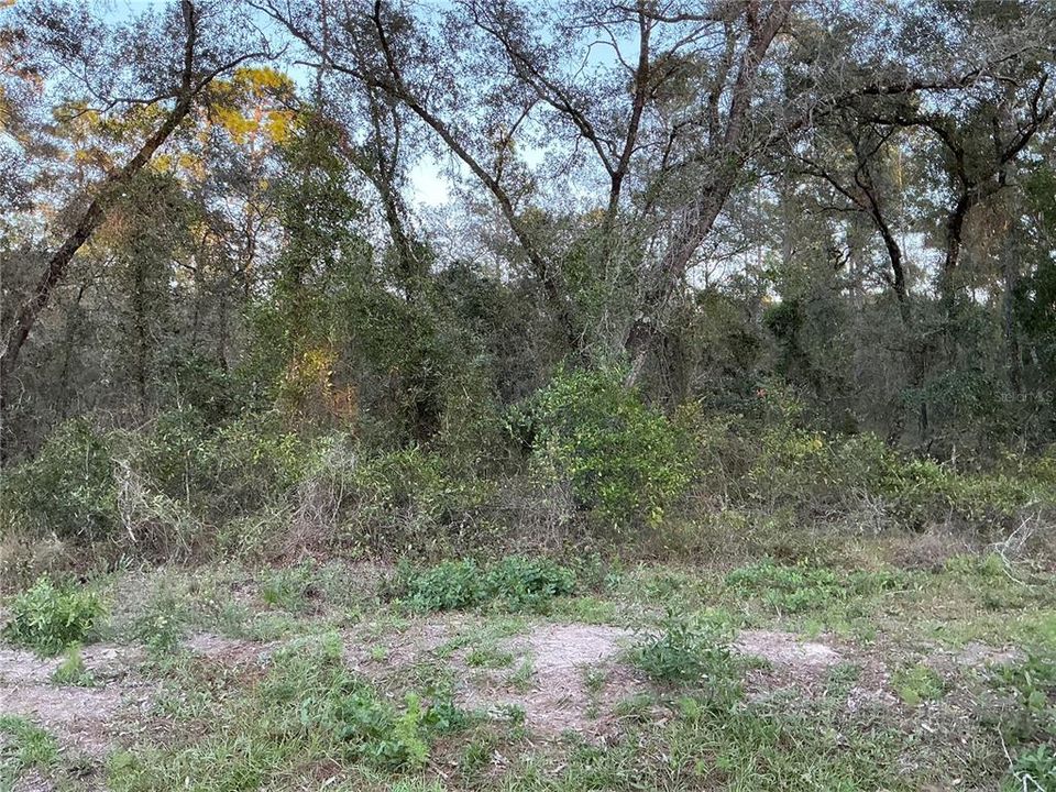 Active With Contract: $24,000 (1.00 acres)