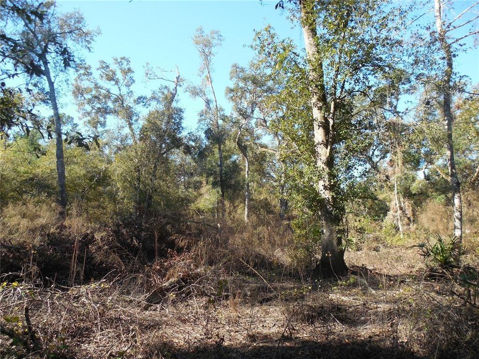 En Venta: $21,000 (0.61 acres)