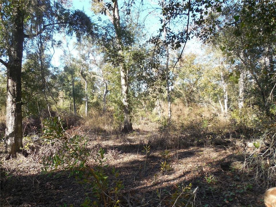 En Venta: $21,000 (0.61 acres)