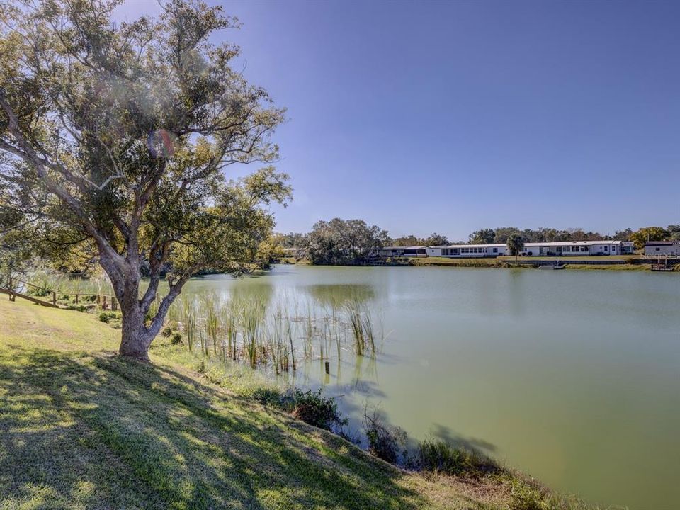 View of the lake from the back yard.