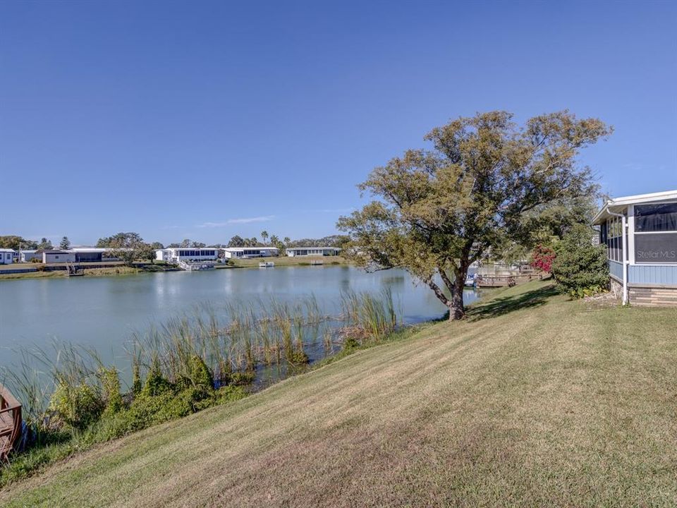 View of the lake from the back yard.