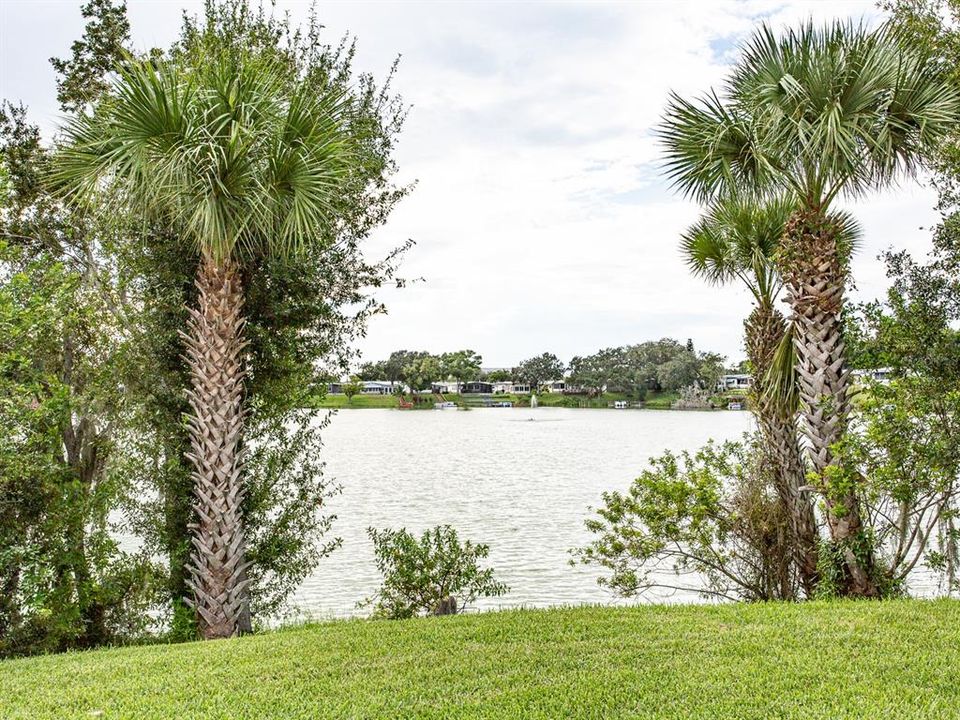 View of the lake.