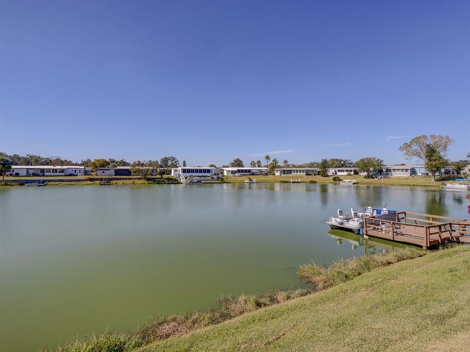 View of the lake from the back yard.