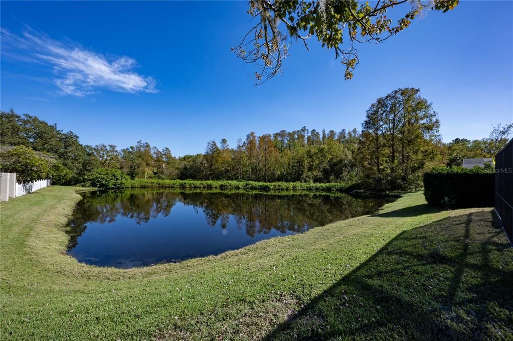 Serene pond view and backyard space too