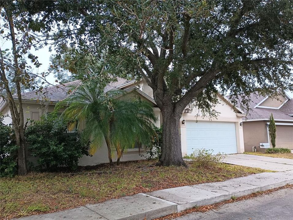 View of House exterior