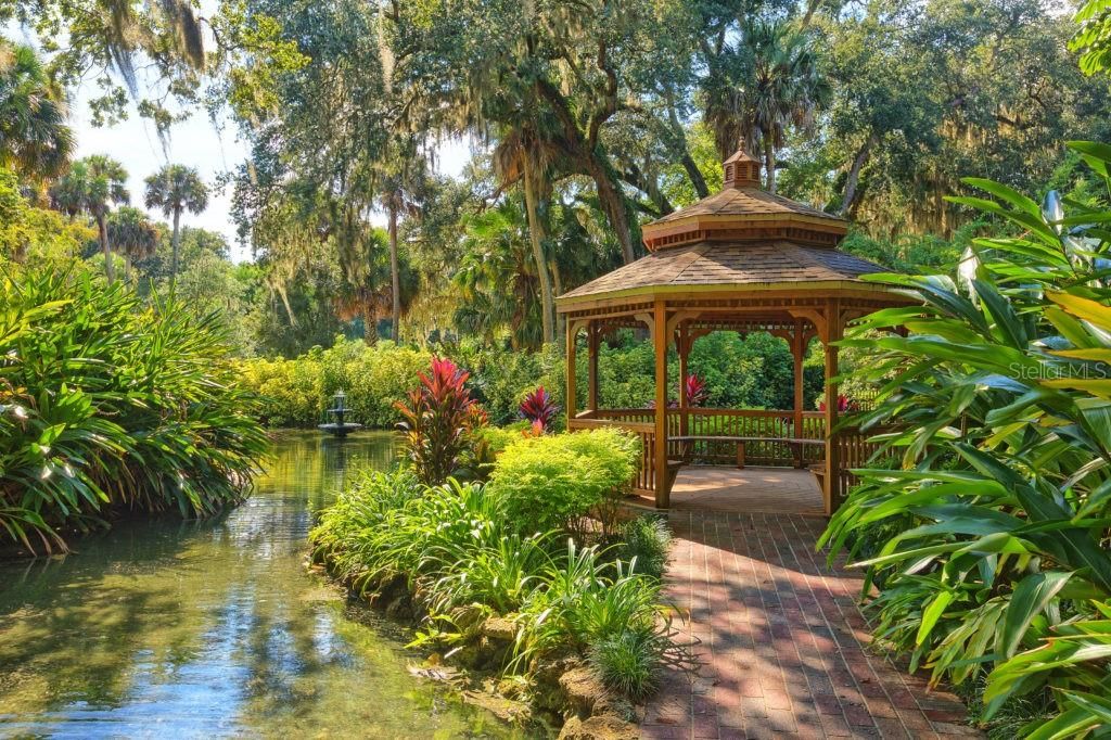 Washington Oaks Gardens Park, with its serene ponds, majestic live oak trees, and coquina rock formations along the Atlantic shoreline. This historic park is perfect for capturing unforgettable photos.