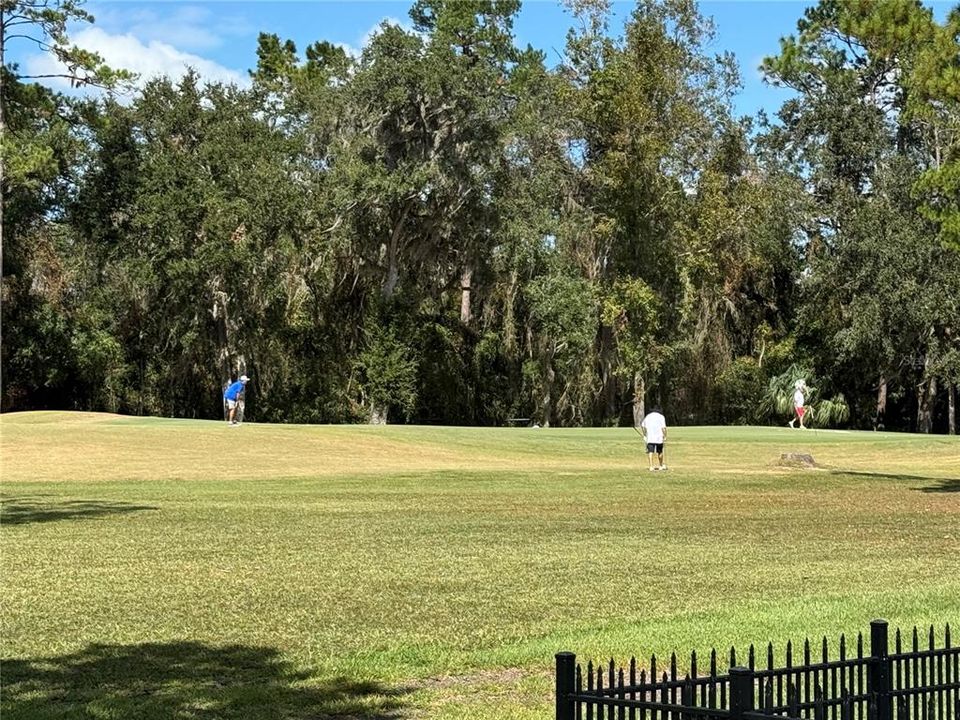 Golf Course Living + Nice not having anyone behind your home