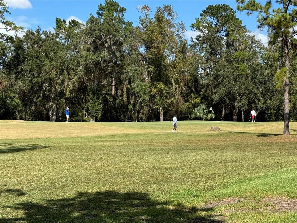 Golfers