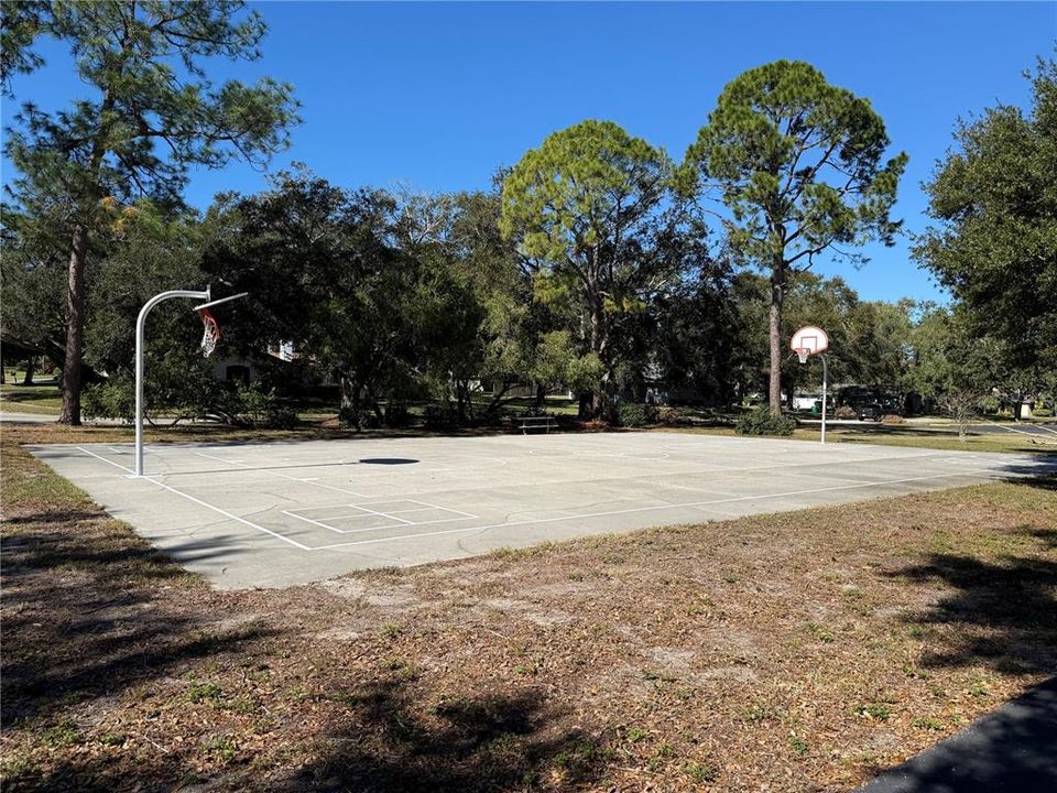 Community outdoor basketball court