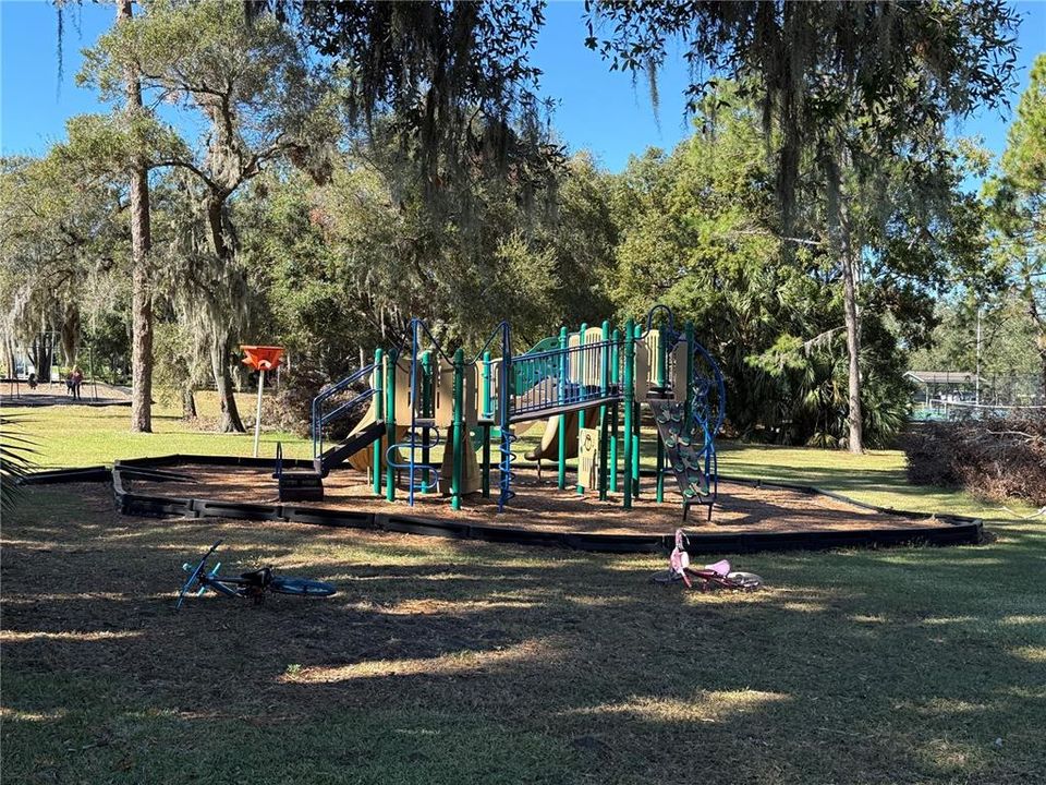 Community playground equipment