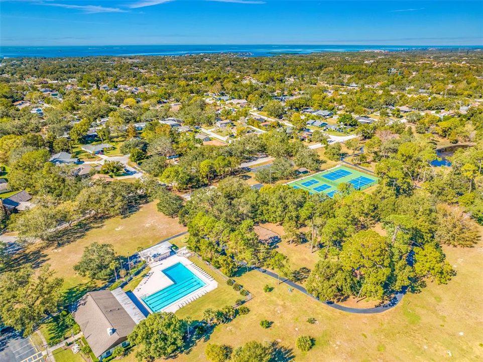 Community clubhouse, outdoor pool, paved path, tennis and pickle ball courts.  Property is within a short drive's distance to St Joseph Sound and Honeymoon Island and Caladesi Island State Parks shown in the distance.