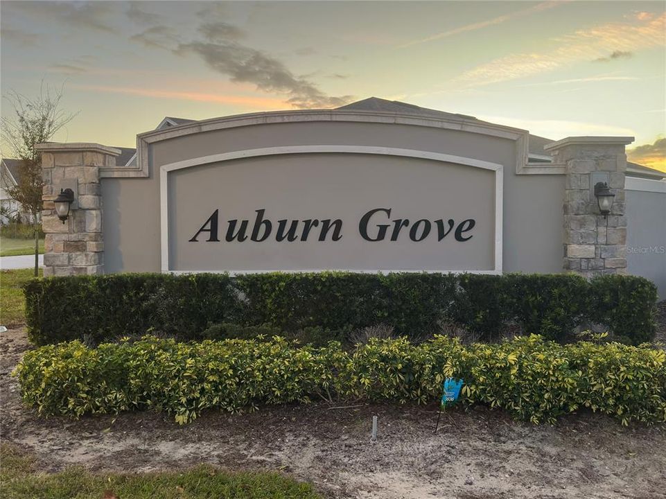 Auburn Grove Community