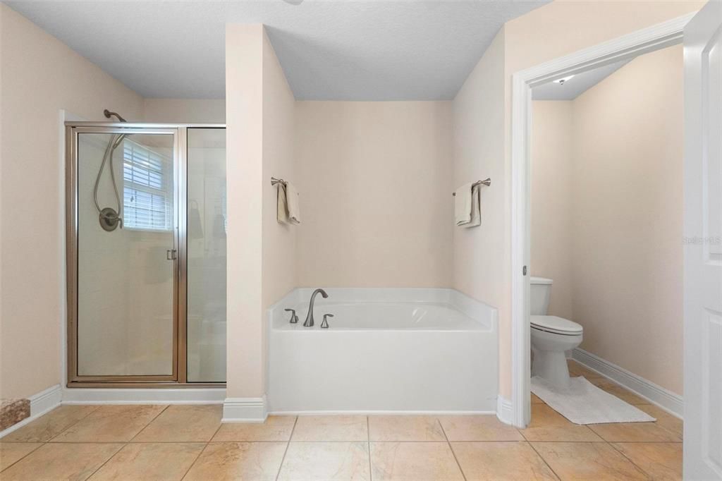 Ensuite bath walk-in shower, garden tub, and water closet.