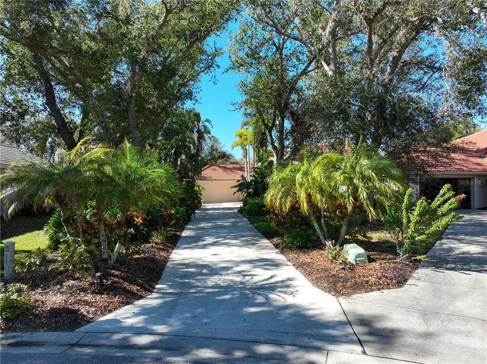 Driveway to your private oasis