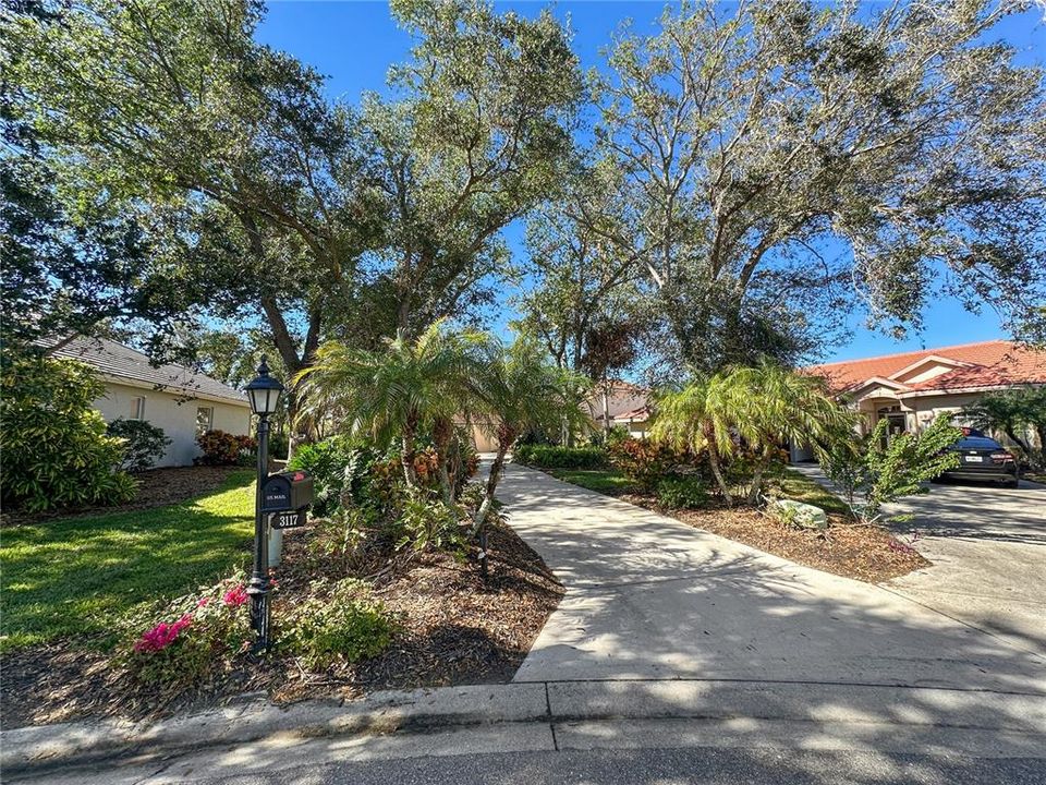 Driveway to your private oasis