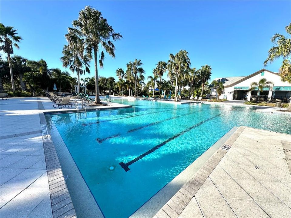 Olympic Swimming Pool Lanes