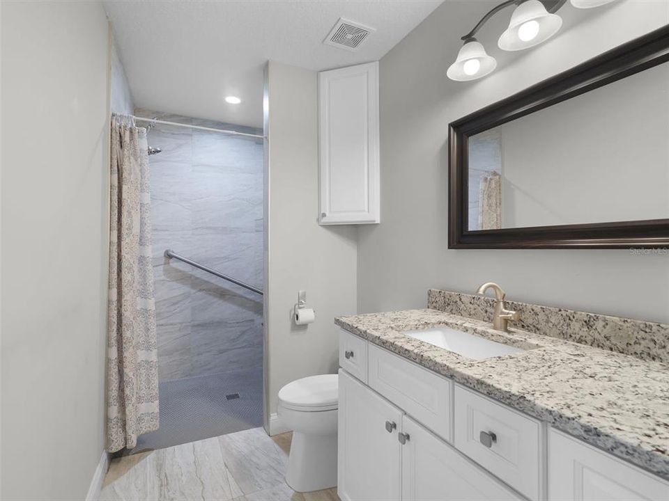 In-Law Suite Bathroom