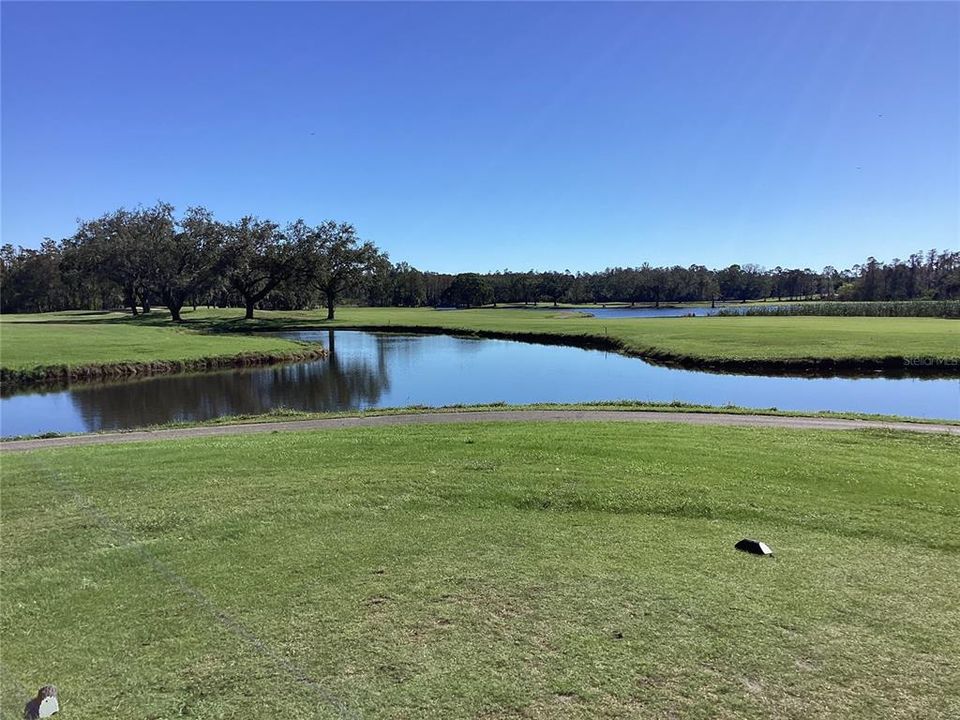 View from #3 Tee of Island Course.