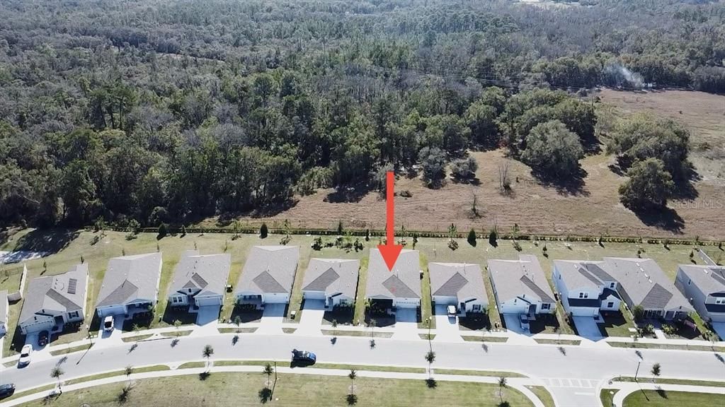 Drone photo showing wooded area behind home