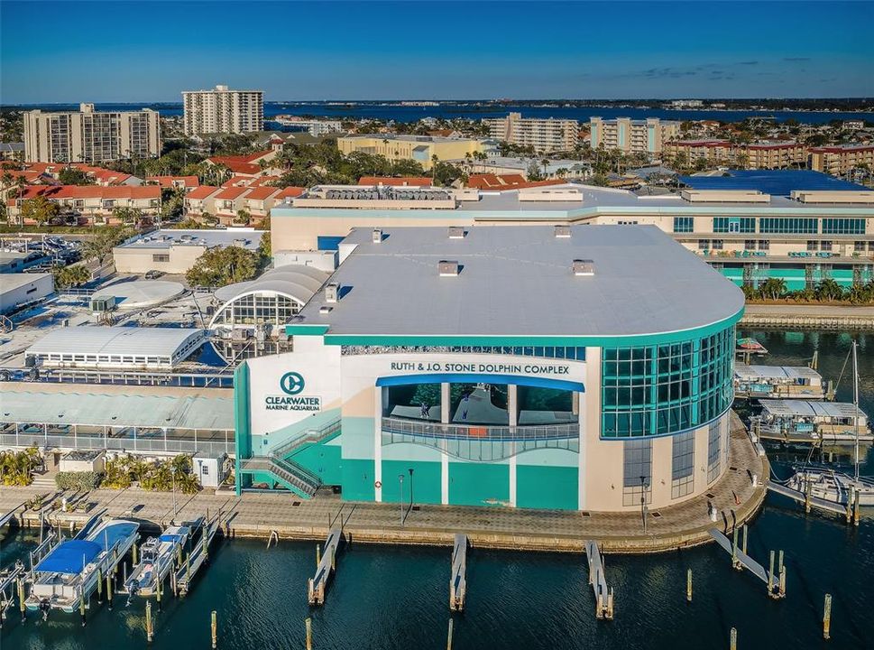 Clearwater Marine Aquarium