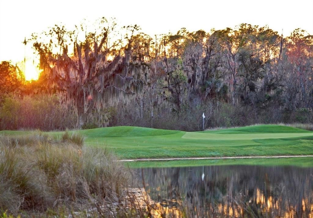 Celebration Golf Club - Public Course - Designed by Robert Trent Jones Sr. and Jr.