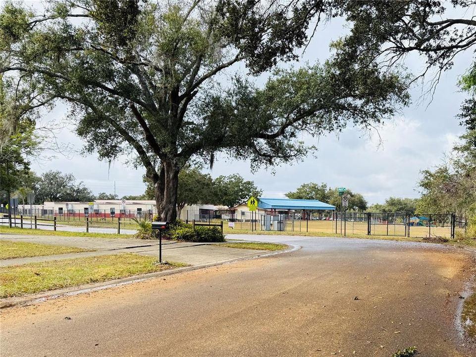 Elementary school at the end of the street!