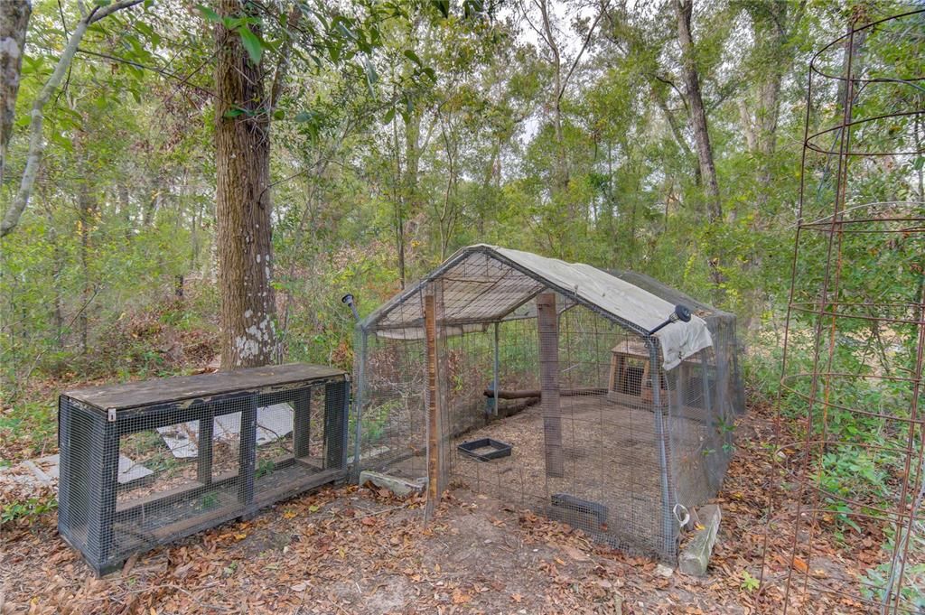 Chicken Coop